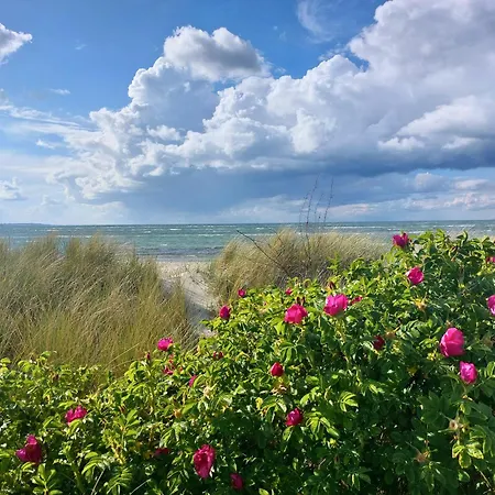アパート Hygge Mit Ostseeblick Wendtorf