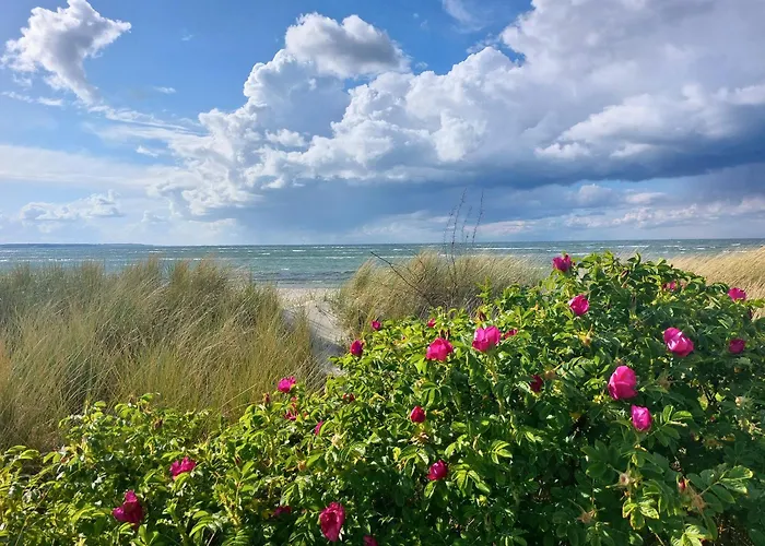 Apartamento Hygge Mit Ostseeblick Wendtorf